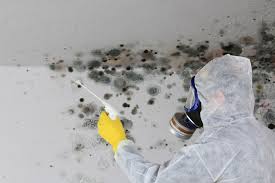 Best Mold Removal for HVAC Installations  in Cashton, WI